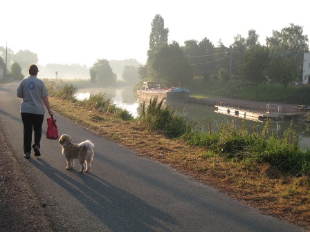 Don morning mist