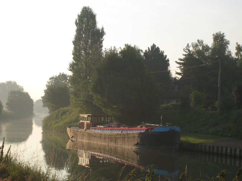 Calm morning