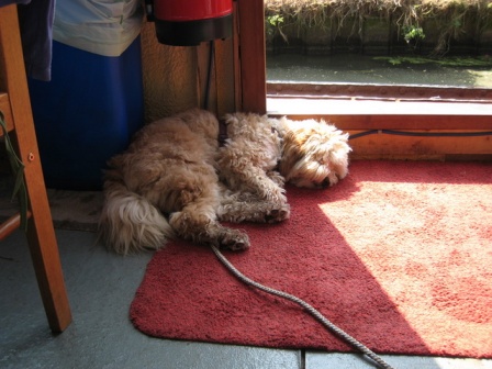 Tilly not lookout