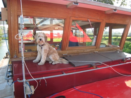 Tilly lookout