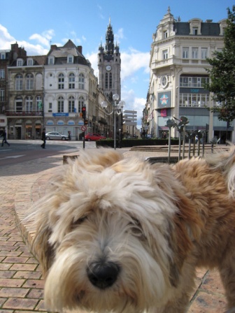 Tilly in Douai