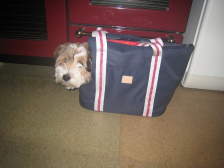 Portable Tilly