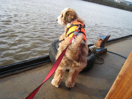 Approaching Goole