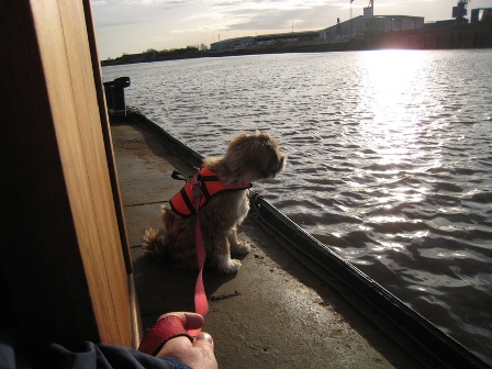 Tilly