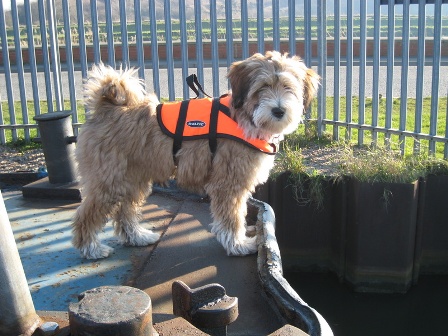 Tilly on deck