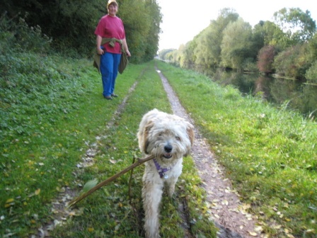 Tilly